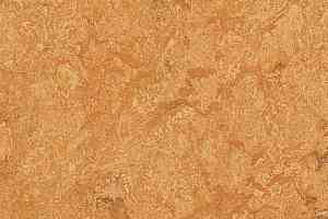 Линолеум Forbo Marmoleum Marbled Real 3174 Sahara фото  | FLOORDEALER